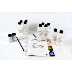 Image for Innovating Science Stoichiometry Chemistry Kit from School Specialty