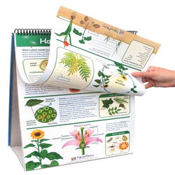 Image for NewPath Science Curriculum Mastery Flip Chart Set, Grade 1 from School Specialty