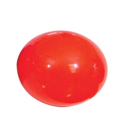 Image for Gymnic Physio Therapy Ball, 34 Inch, Red from School Specialty