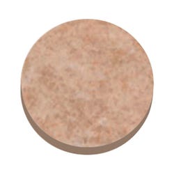 Image for Master Caster Felt Pad, Beige, 1 x 3/16 Inches, Pack of 16 Circles from School Specialty
