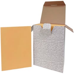 Image for School Smart No Clasp Envelopes with Gummed Flap, 10 x 13 Inches, Kraft Brown, Pack of 250 from School Specialty