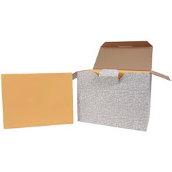 Image for School Smart No Clasp Envelopes with Gummed Flap, 10 x 13 Inches, Kraft Brown, Pack of 250 from School Specialty