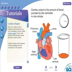 Image for NeoSCI Human Body Systems Neo/LAB Software Network License CD-ROM from School Specialty