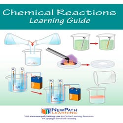 Image for NewPath Learning Chemical Reactions Student Learning Guide from School Specialty