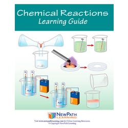 Image for NewPath Learning Chemical Reactions Student Learning Guide from School Specialty