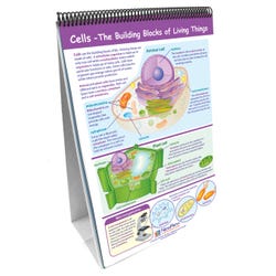Image for NewPath Science Curriculum Mastery Flip Chart Set, Grade 4 from School Specialty