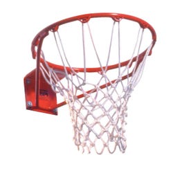 Image for Geoscience Roughneck Basketball Goalrilla Hoop from School Specialty