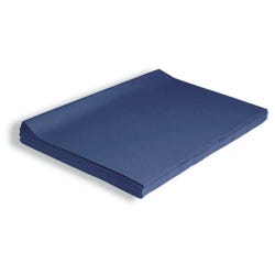 Image for Spectra Deluxe Bleeding Tissue Paper, 20 x 30 Inches, Medium Blue, 24 Sheets from School Specialty