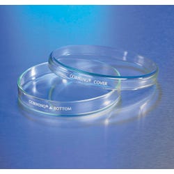 Image for CORNING Petri Dishes - 150 mm diameter x 20 mm from School Specialty