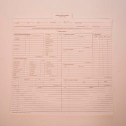 Image for Hammond & Stephens Health Record Insert for Cumulative Health Insert, 9 x 11-3/4 Inches, White Tab, Pack of 25 from School Specialty