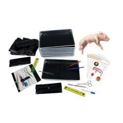 Frey Scientific Fetal Pig Complete Dissection Set, 30 Specimen, 15 Dissection Kits, Item Number 1294667