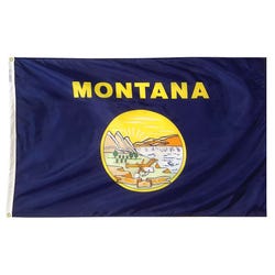 Image for Annin Nylon Montana Heavy Weight Outdoor State Flag, 4 X 6 ft from School Specialty
