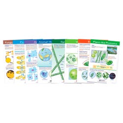 Image for NewPath Learning Protists: Pond Microlife Bulletin Board Chart Set from School Specialty