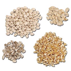 Frey Scientific Seeds, Alfalfa, Pack of 30 (approx), Item Number 586533