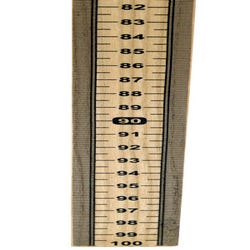 Image for Eisco Labs Wooden Meter Sticks, Graduated One Side, Zero Top, Pack of 10 from School Specialty
