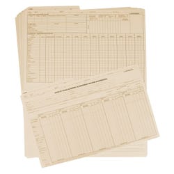 Image for Hammond & Stephens Texas Cumulative Record Folder, Legal Size, 9-3/8 x 13-7/8 Inches, Pack of 100 from School Specialty