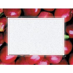 Image for Hayes Replacement Blank Certificate with Borders, 11 x 8-1/2 inches, Paper, Apple, Pack of 50 from School Specialty