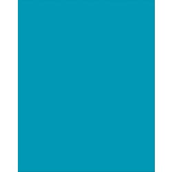 Pacon Plastic Poster Board, 22 x 28 Inches, Azure, Pack of 25 Item Number 1537851