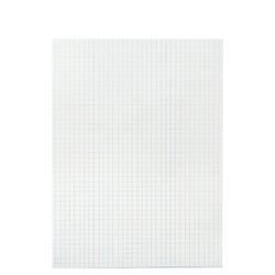 School Smart Graph Paper, 1/4 Inch Rule, 9 x 12 Inches, White, Pack of 500 085627