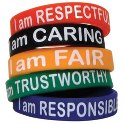 Image for Teacher Created Resources Wristbands Character Traits, Pack of 10 from School Specialty