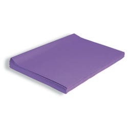 Image for Spectra Deluxe Bleeding Tissue Paper, 20 x 30 Inches, Purple, 24 Sheets from School Specialty