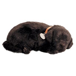 Image for Perfect Petzzz Black Lab from School Specialty