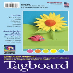 Image for Pacon Light-Weight Tagboard, 9 x 12 Inches, Assorted Bright Colors, Pack of 100 from School Specialty