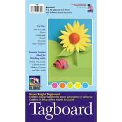 Pacon Light-Weight Tagboard, 9 x 12 Inches, Assorted Bright Colors, Pack of 100 Item Number 085514