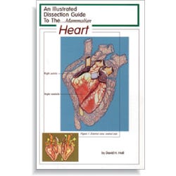 Frey Scientific Mini-Guide to Mammalian Heart Dissection, Paperback, 10 Pages, Item Number 597045