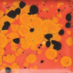 Sax True Flow Colorburst Glaze, Spicy Orange, 1 Pint Item Number 1430110
