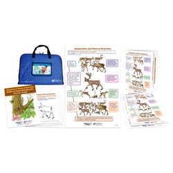 Image for NewPath Learning NewPath Learning Adaptation & Natural Selection NGSS 2D Model Building Kit from School Specialty