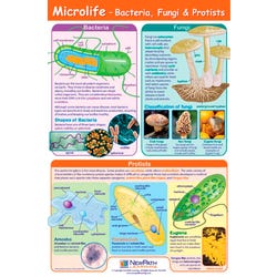 Microbology Supplies, Item Number 2026930