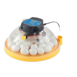 Image for Brinsea Maxi II Eco Manual 30 Egg Incubator from School Specialty
