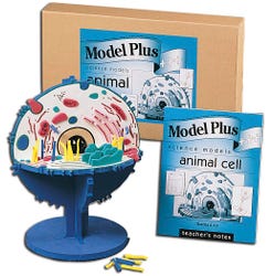 Image for Foam Animal Cell Model from School Specialty
