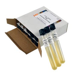 Image for Innovating Science Sabouraud Dextrose Agar Tubes, 12 Pack from School Specialty