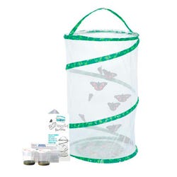 Insect Lore Butterfly Pavilion with Voucher Item Number 1608927