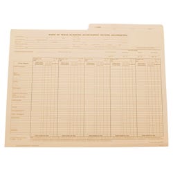 Image for Hammond & Stephens Texas Cumulative Record Folder, Folded Size, 11-3/4 x 9-1/4 Inches, Pack of 100 from School Specialty