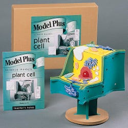 Image for Foam The Plant Cell Model from School Specialty