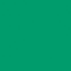 Image for Pacon Multi-Purpose Paper, 8-1/2 x 11 Inches, Emerald Green, Pack of 500 from School Specialty