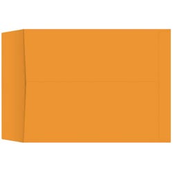 Image for School Smart Catalog Envelopes, 17 x 22 Inches, Kraft, Box of 25 from School Specialty