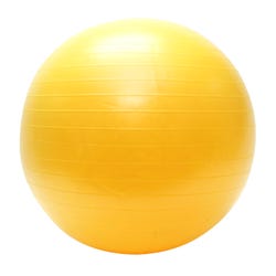 Image for Sportime Cage Ball Bladder, 48 Inches from School Specialty