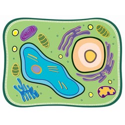 Image for Roylco See-Through Plant Cell Builder from School Specialty