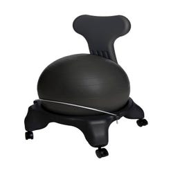 Image for Aeromat Teen/Adult Ball Chair, 16 lb, 22 X 22 X 31 Inches, Black from School Specialty