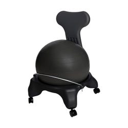 Image for Aeromat Replacement Ball for Teen/Adult Ball Chair, Black from School Specialty