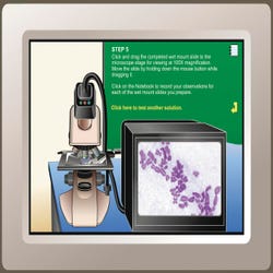 Image for NeoSCI Human Genetics Neo/LAB Software Network License CD-ROM from School Specialty