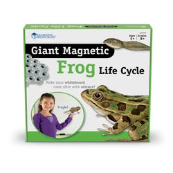 Image for Learning Resources Giant Magnetic Frog Life Cycle, 9 Pieces from School Specialty
