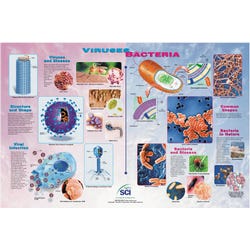 Image for NeoSCI Viruses and Bacteria Laminated Poster, 35 in W X 23 in H from School Specialty