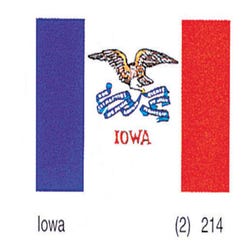 Image for Annin Nylon Iowa Indoor State Flag, 3 X 5 ft from School Specialty
