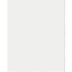 Pacon Plastic Poster Board, 22 x 28 Inches, Opaque, Pack of 25 Item Number 1537852