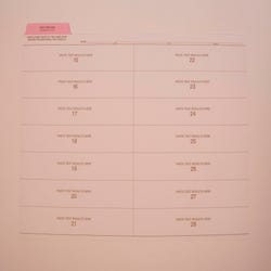 Image for Hammond & Stephens Test Record Insert, 11-3/4 x 9-1/4 Inches, Pink Tab, Pack of 25 from School Specialty